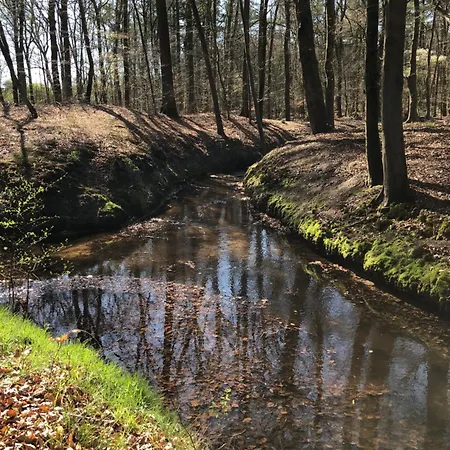 Boshuisje Felua Semesterbostad