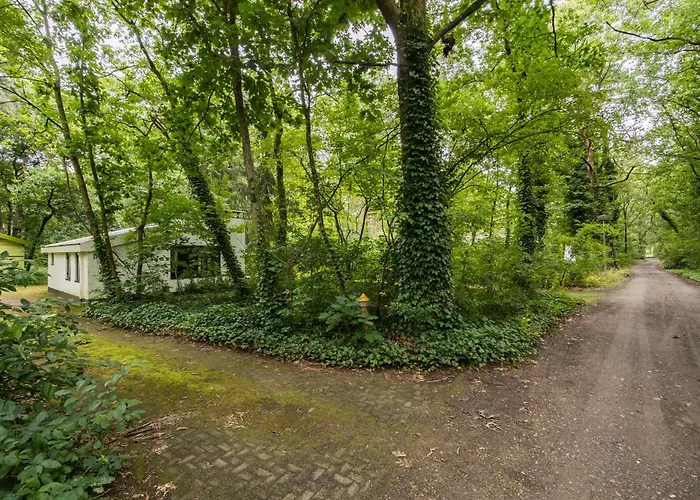 Boshuisje Felua Ferienhaus Nunspeet