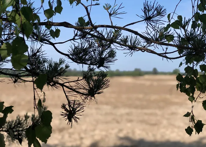 Boshuisje Felua * Nunspeet