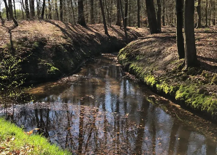 Boshuisje Felua Ferienhaus