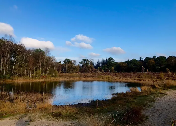 Boshuisje Felua Nunspeet