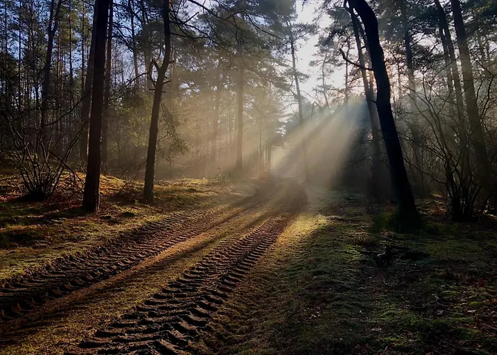 Сasa de vacaciones Boshuisje Felua