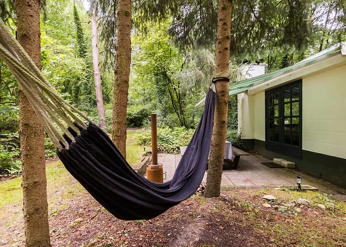 Boshuisje Felua Holiday home