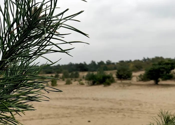 Holiday home Boshuisje Felua Nunspeet